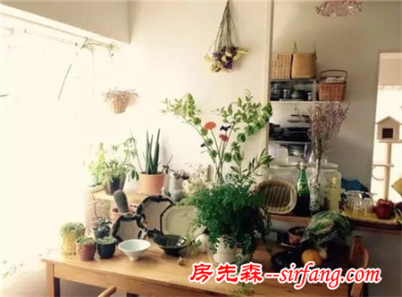 一秒钟让家充满灵气的秘密就是...