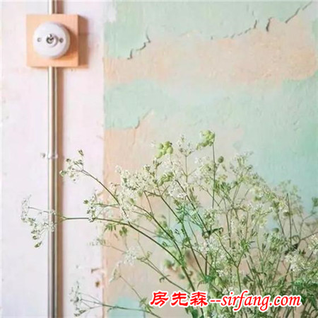 一秒钟让家充满灵气的秘密就是...