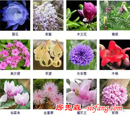 图集 | 432种常见观花植物，全在这了！