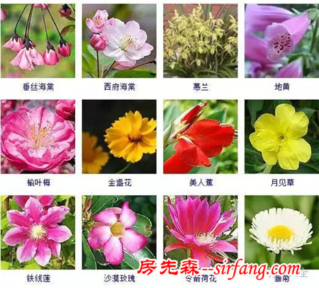 图集 | 432种常见观花植物，全在这了！