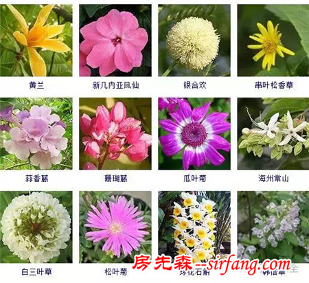 图集 | 432种常见观花植物，全在这了！