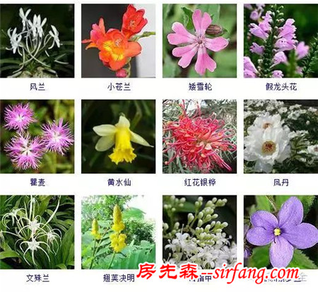 图集 | 432种常见观花植物，全在这了！