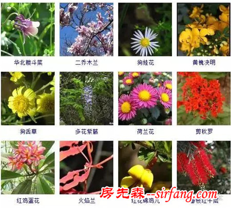 图集 | 432种常见观花植物，全在这了！