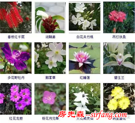 图集 | 432种常见观花植物，全在这了！