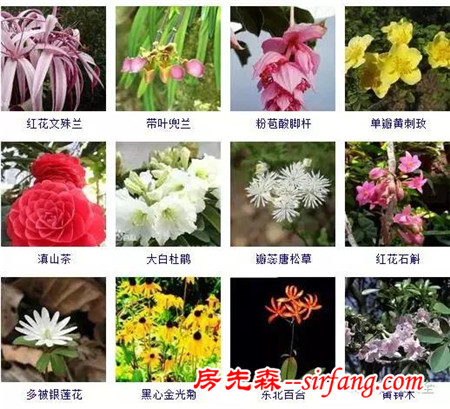 图集 | 432种常见观花植物，全在这了！