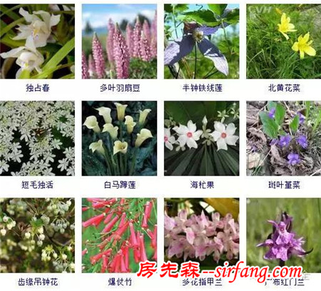 图集 | 432种常见观花植物，全在这了！