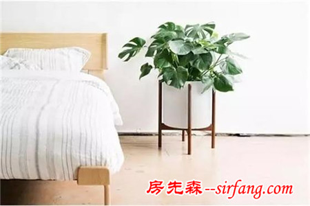 一秒钟让家充满灵气的秘密就是...
