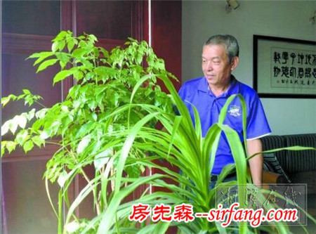 家里家外皆植绿 湘潭林业人蔡铁流业余时间潜心培育盆栽