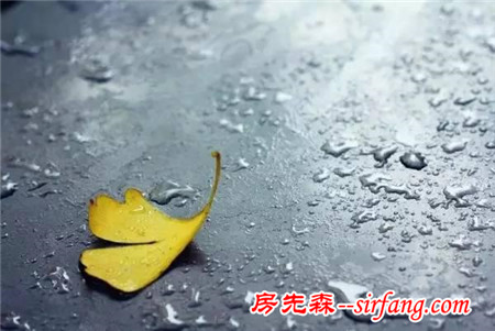 美哭了，下雨天我宁愿窝在这样的书房里