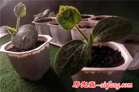 吃完零食不要乱扔，这些东西都是无价之宝！