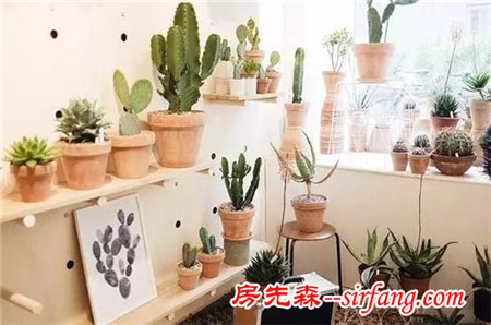 一秒钟让家充满灵气的秘密就是...