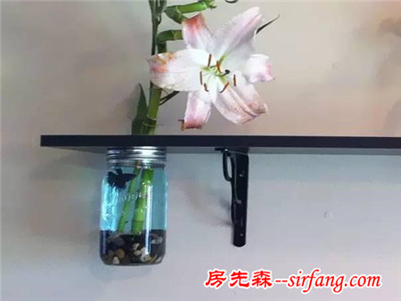 情趣生活这些鱼缸你肯定没见过（含60种鱼缸设计）