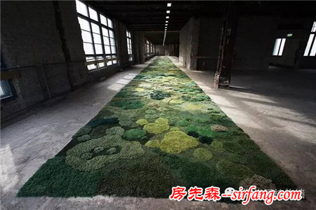 躺在苔藓地毯看书，你体验过这种惬意吗？