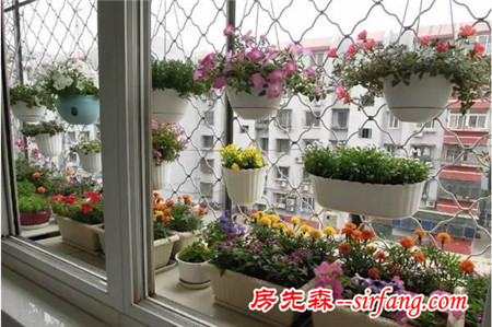 這25種花吊起來養(yǎng)更美！