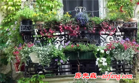 這25種花吊起來養(yǎng)更美！