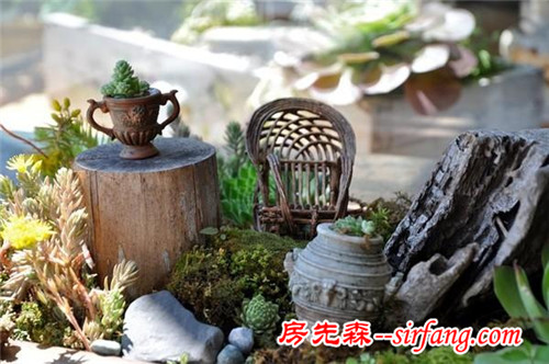 創(chuàng)意微世界，“迷你花園”微型景觀漂亮花園庭院！
