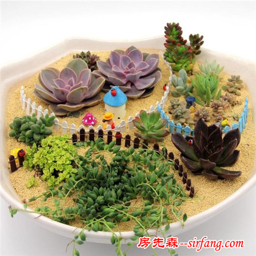 創(chuàng)意微世界，“迷你花園”微型景觀漂亮花園庭院！