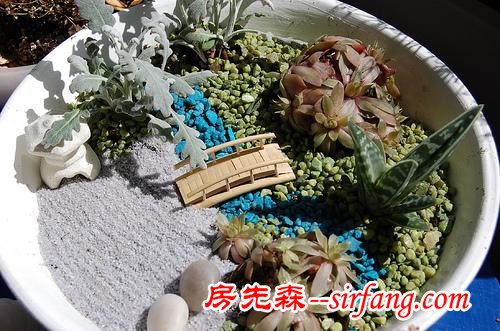 創(chuàng)意微世界，“迷你花園”微型景觀漂亮花園庭院！