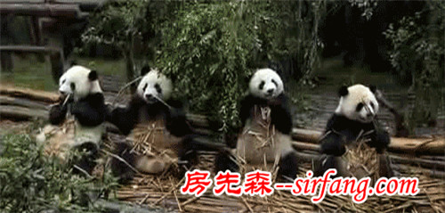 情愿少撸几次串儿，也要省钱装个它......