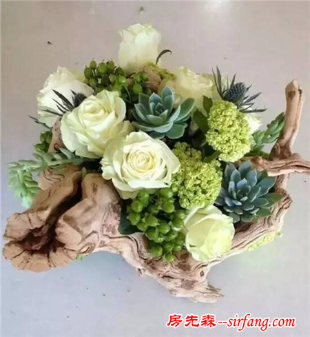 把一棵树搬进屋，结果美翻了整个家！设易网1261期