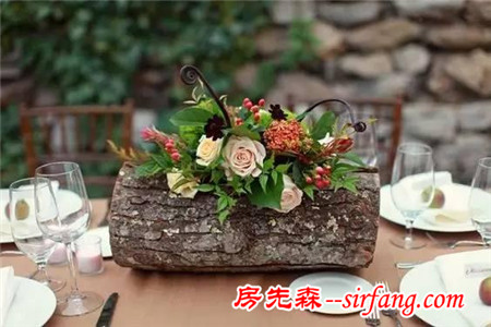 把一棵树搬进屋，结果美翻了整个家！设易网1261期
