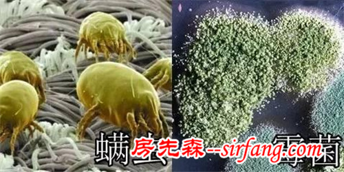 卧室7个地方最脏，每晚百万只螨虫陪你入眠！设易网1266期