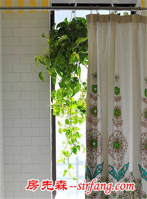 家庭养花：8个室内植物装饰方案 营造清新美丽家居