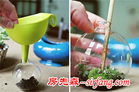 河州牡丹—巧做多肉植物盆景「图解」
