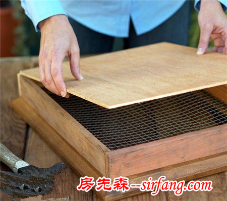 河州牡丹—巧做多肉植物盆景「图解」