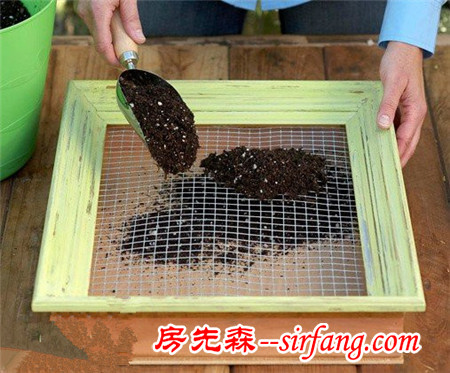 河州牡丹—巧做多肉植物盆景「图解」