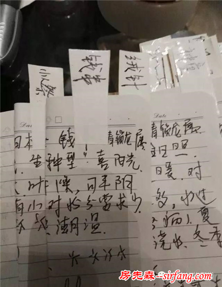 上学时也没这么用功！为了养多肉，认真学习起来连我自己都怕！