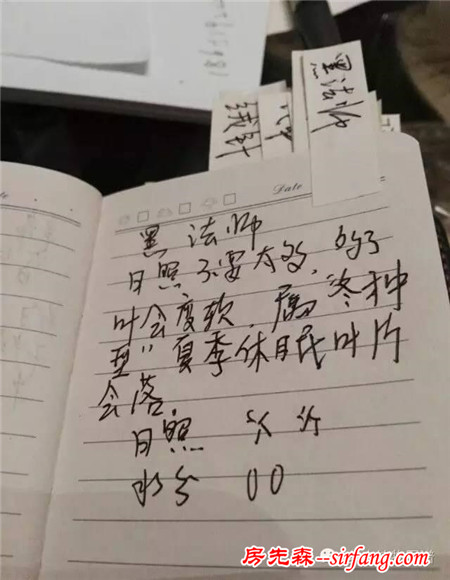 上学时也没这么用功！为了养多肉，认真学习起来连我自己都怕！