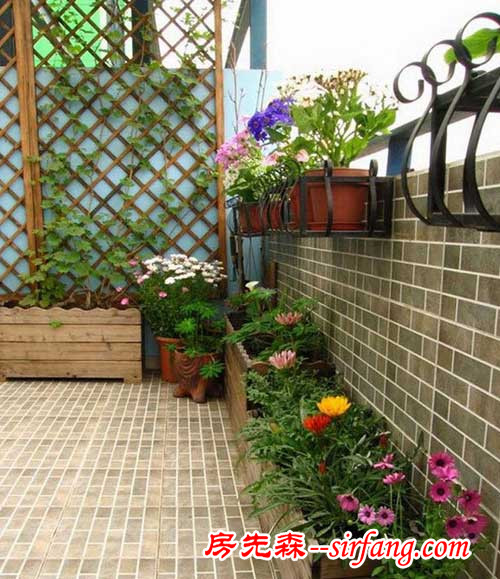 充分利用阳台空间养花，阳台栏杆如何摆盆花才好看！