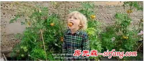 小夫妻在北极圈建水晶房子！ 每天带娃探险、种菜、看极光！还能更美吗？