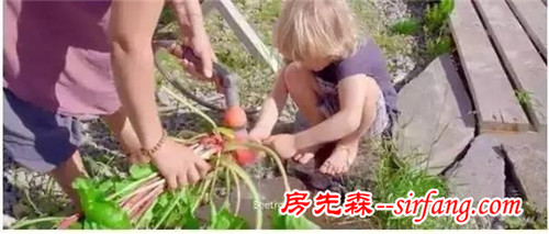 小夫妻在北极圈建水晶房子！ 每天带娃探险、种菜、看极光！还能更美吗？