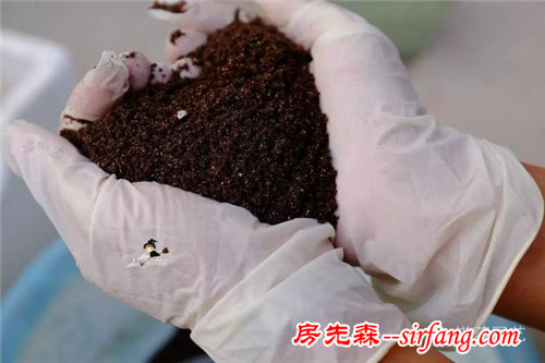旧土扔掉可惜？这样简单翻新后就能继续利用啦~