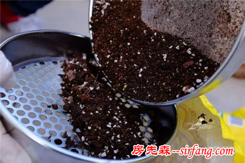 旧土扔掉可惜？这样简单翻新后就能继续利用啦~