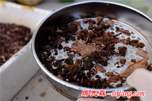 旧土扔掉可惜？这样简单翻新后就能继续利用啦~