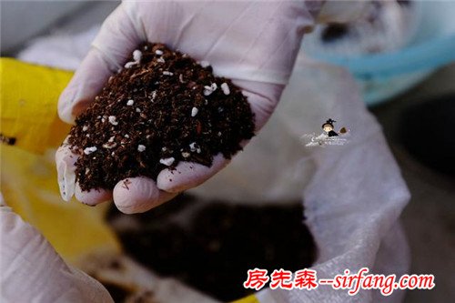 旧土扔掉可惜？这样简单翻新后就能继续利用啦~