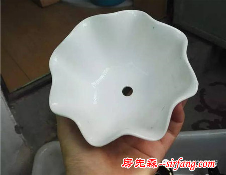 自从养了多肉，瞅啥都象花盆儿！