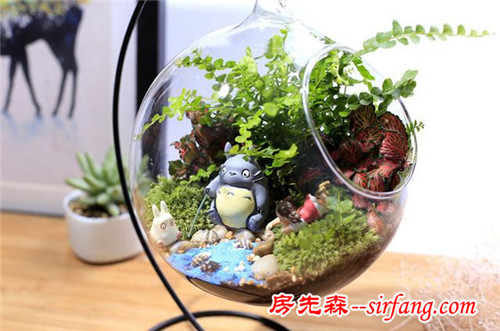 創(chuàng)意微世界，“迷你花園”微型景觀漂亮花園庭院！
