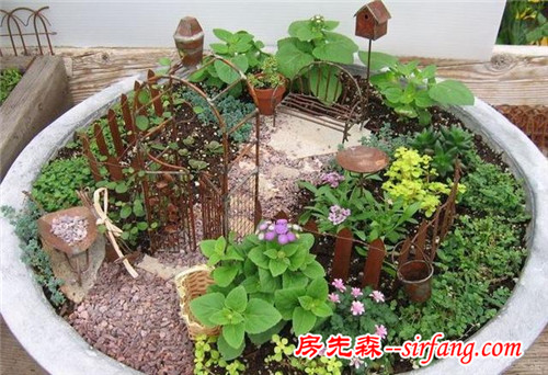 創(chuàng)意微世界，“迷你花園”微型景觀漂亮花園庭院！