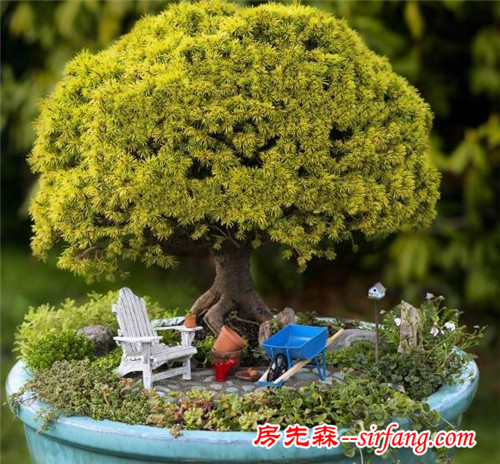 創(chuàng)意微世界，“迷你花園”微型景觀漂亮花園庭院！