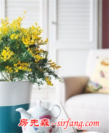 夏季让家更“清凉” 9款小盆栽装饰您的家