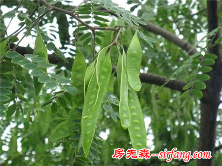 古人通常多久洗一次澡?他们用什么来洗头呢?