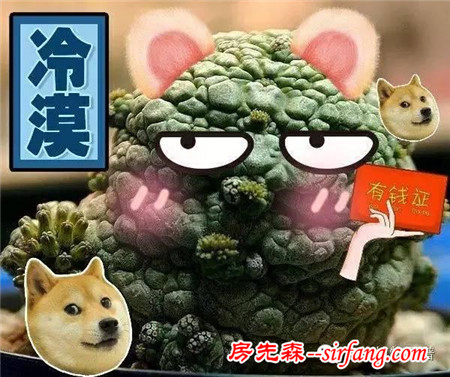 脑洞真大！爱上肉肉的网友们创意无处不在！