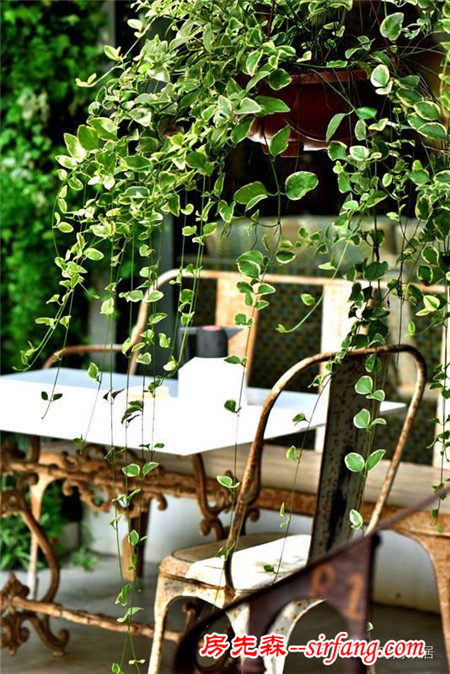 不能自建房，搭個花園屋怎么樣？