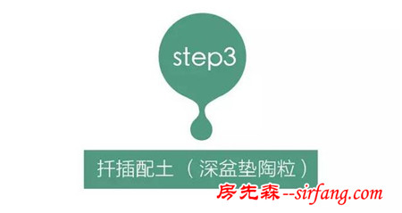 多肉繁殖｜扦插，從1到N ；美容整形
