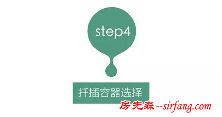 多肉繁殖｜扦插，從1到N ；美容整形