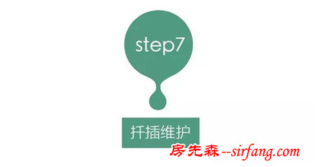 多肉繁殖｜扦插，從1到N ；美容整形